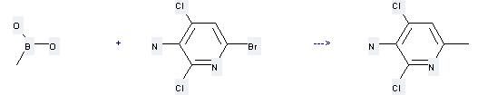 Methylboronic acid can be used to produce 2,4-dichloro-6-methyl-pyridin-3-ylamine at the temperature of 100 °C